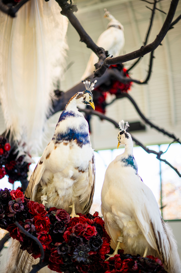 Petah Coyne: Untitled #1383 (Sisters – Two Trees) 3